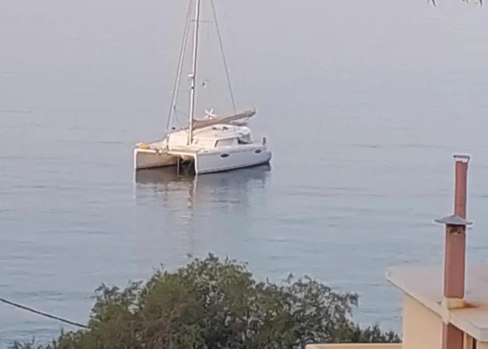 Apartment Dolphins