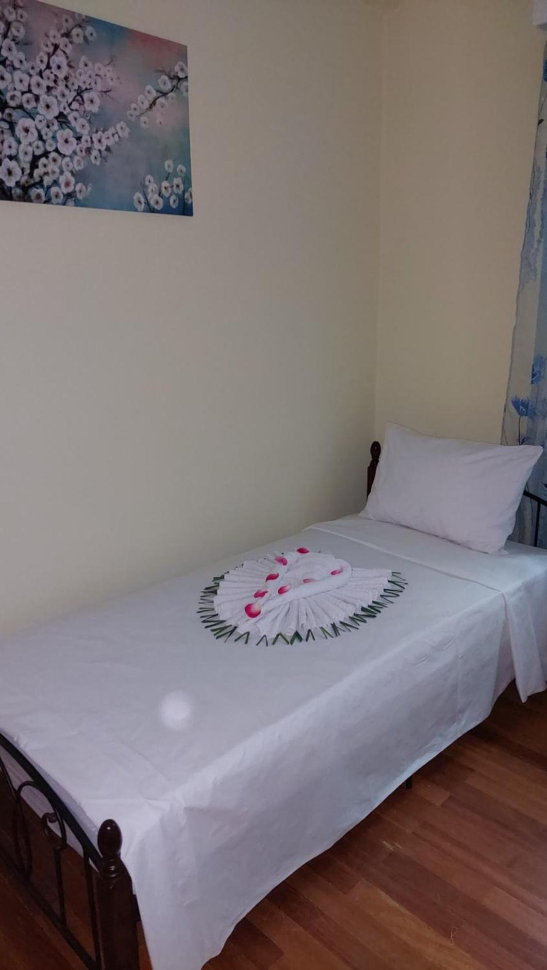 Dolphins Appartement